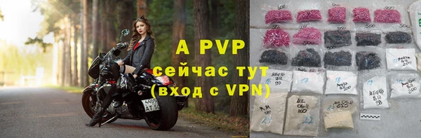 прущие грибы Горнозаводск