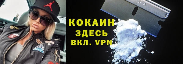 прущие грибы Горнозаводск
