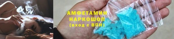прущие грибы Горнозаводск