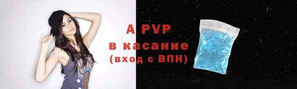 прущие грибы Горнозаводск