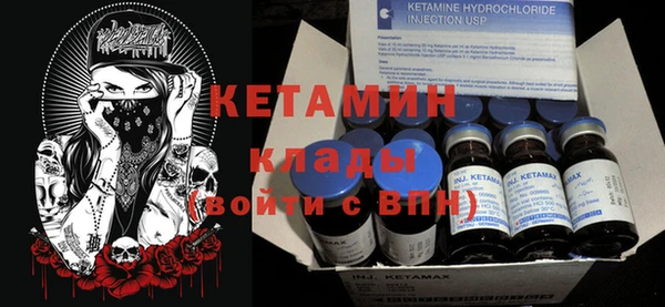 прущие грибы Горнозаводск