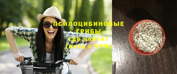 прущие грибы Горнозаводск