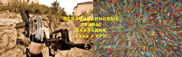 прущие грибы Горнозаводск